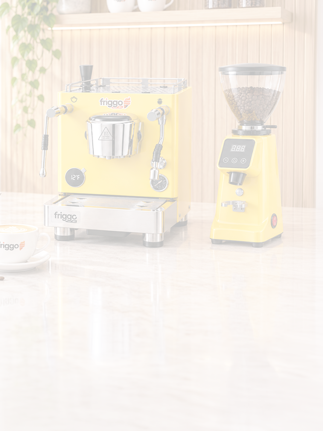 Cafetera de
